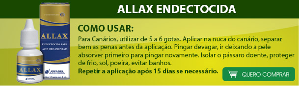 allax canário rouco parou de cantar