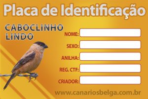 Placa de Identificação Caboclinho Lindo